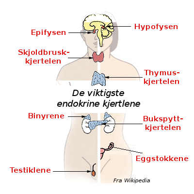 Nyhetsbilde