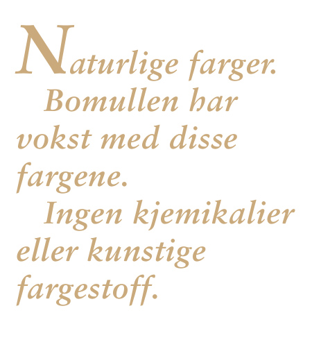 Produktbilde